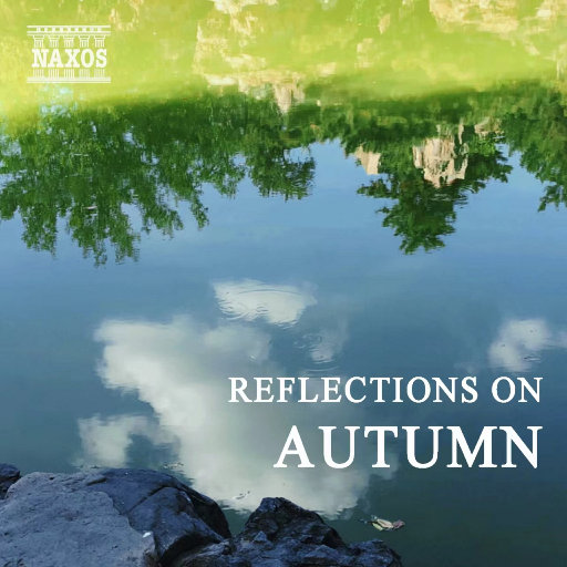 女王捏蛋调教cbt
